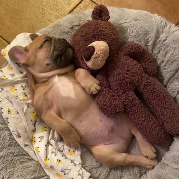 @tsauce597 is now live! ❤️❤️Like this post to be notified when I go live❤️❤️ - Picture 13 of 14